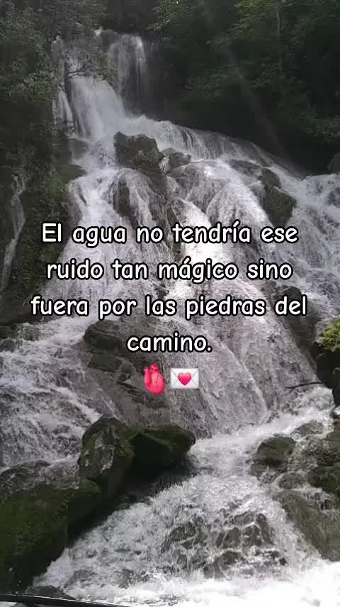 @📿 Morry👑
