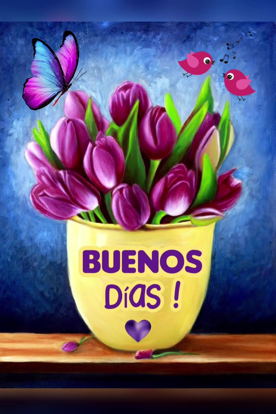 @elvirasvg
