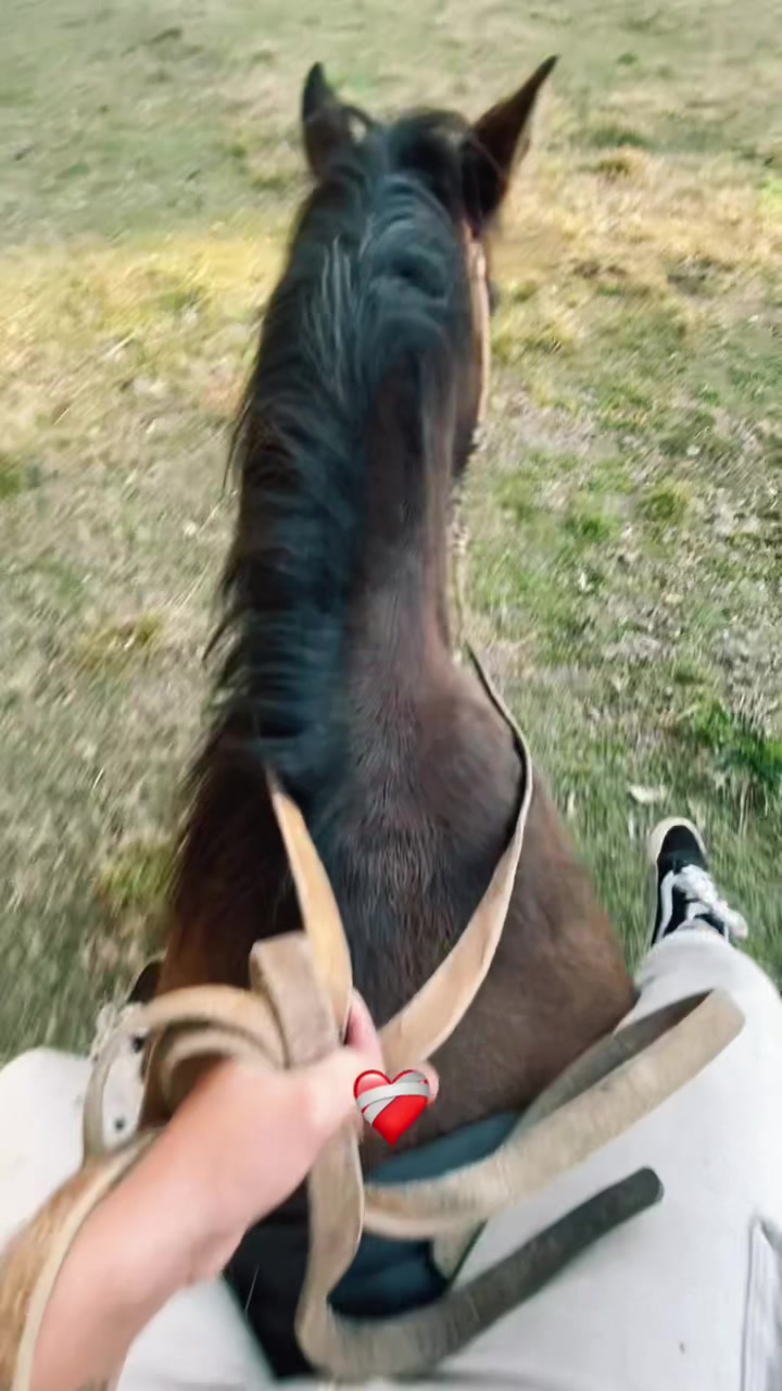 @ludmipiana0