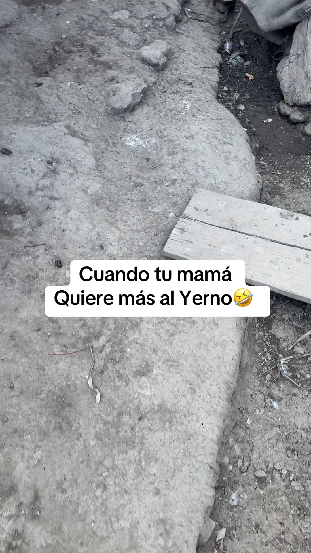 @belita la chiguina