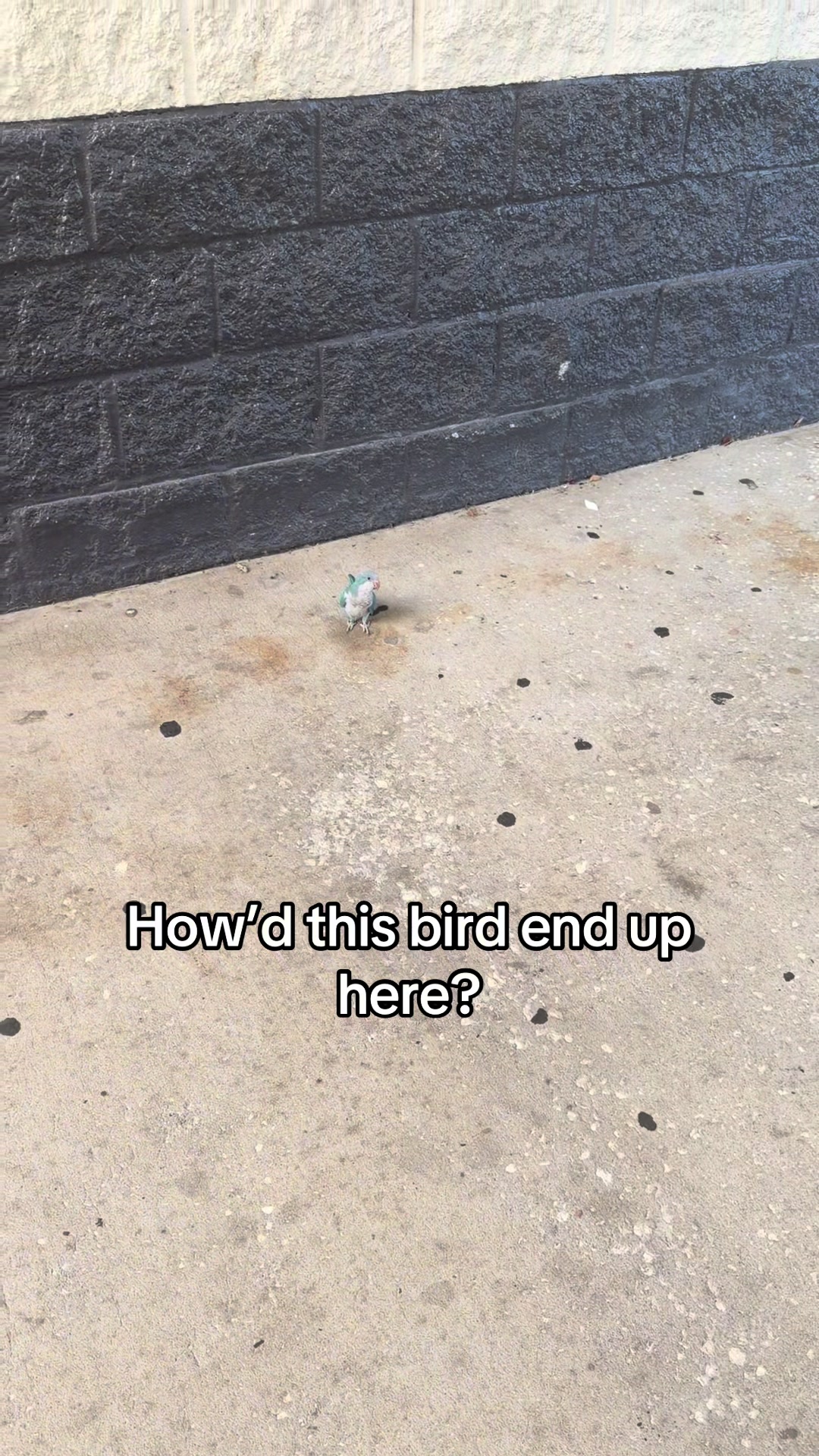 @YTBillion
