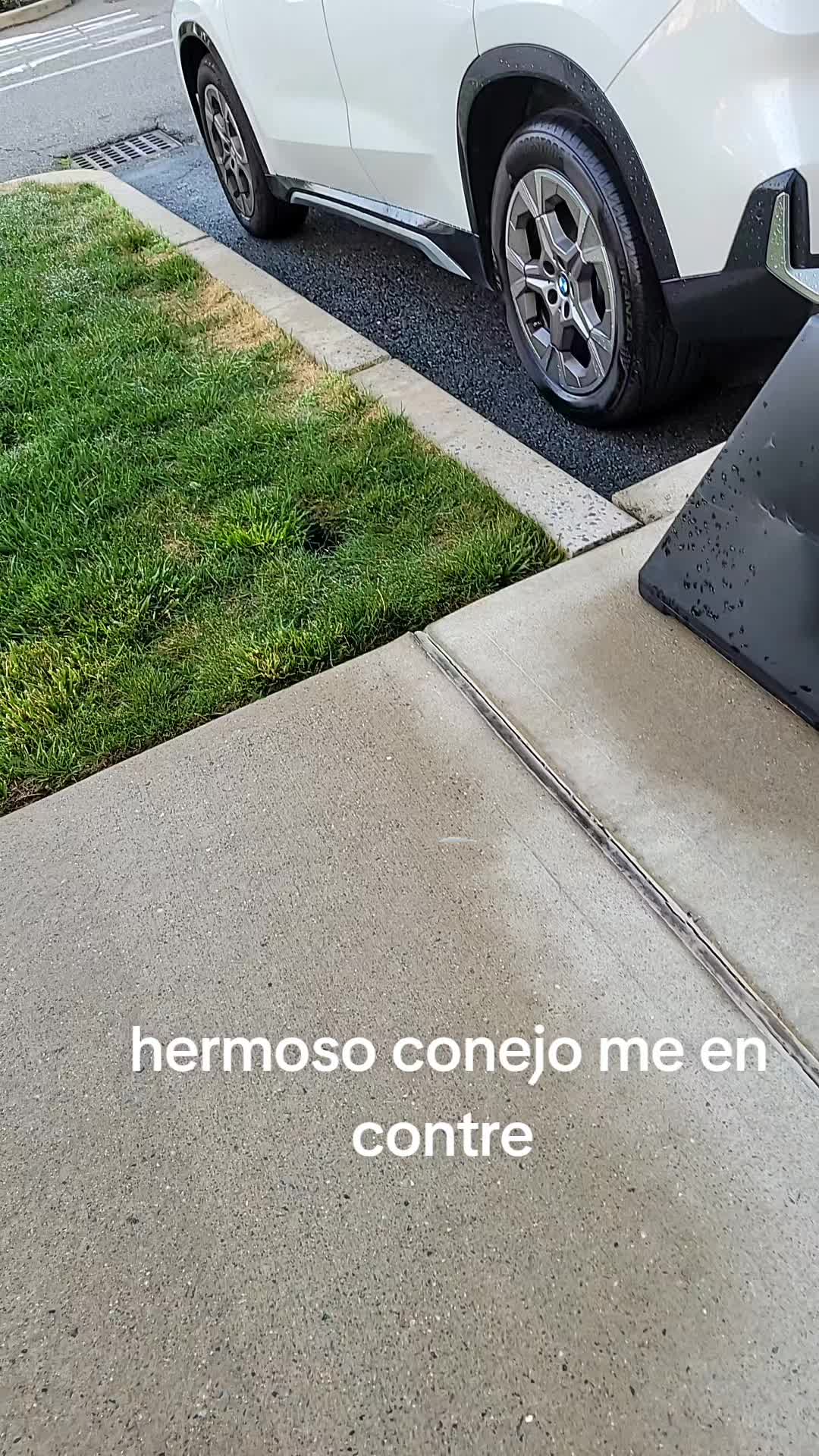 @Betsy Ramos