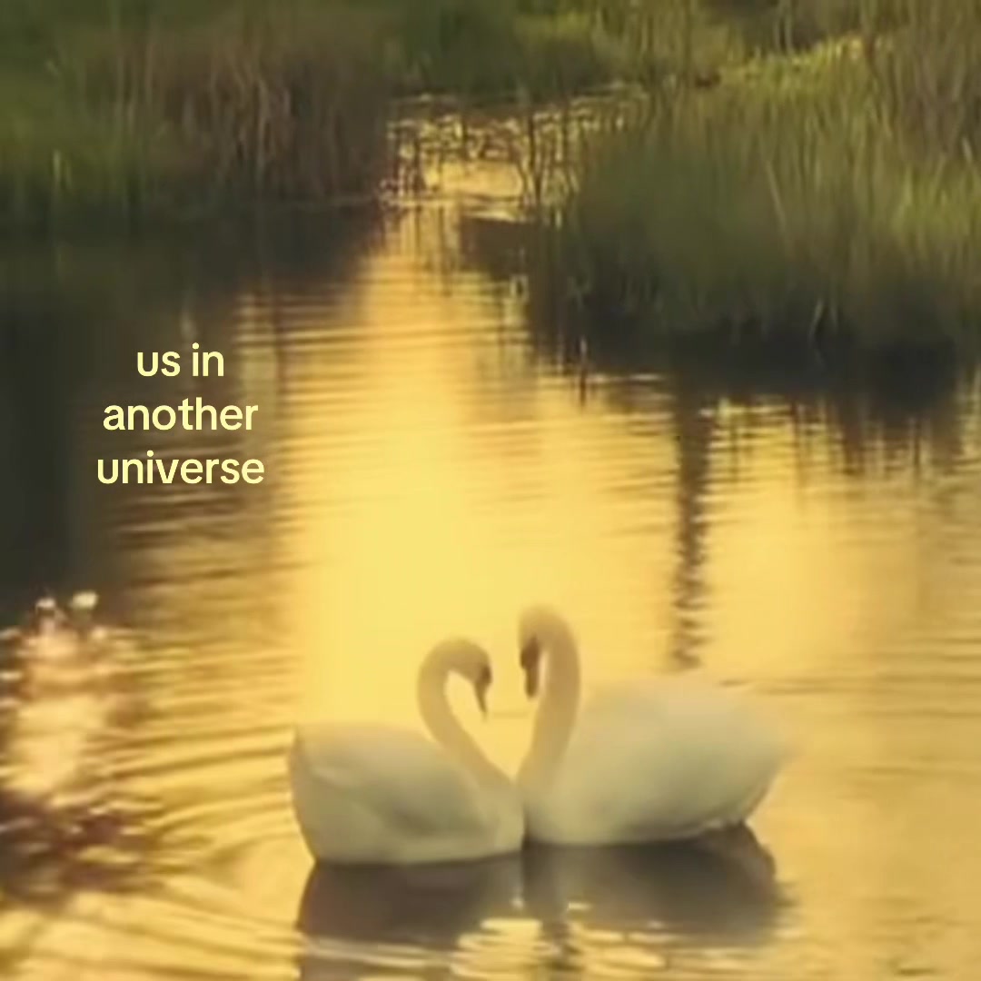 @𝜗𝜚
