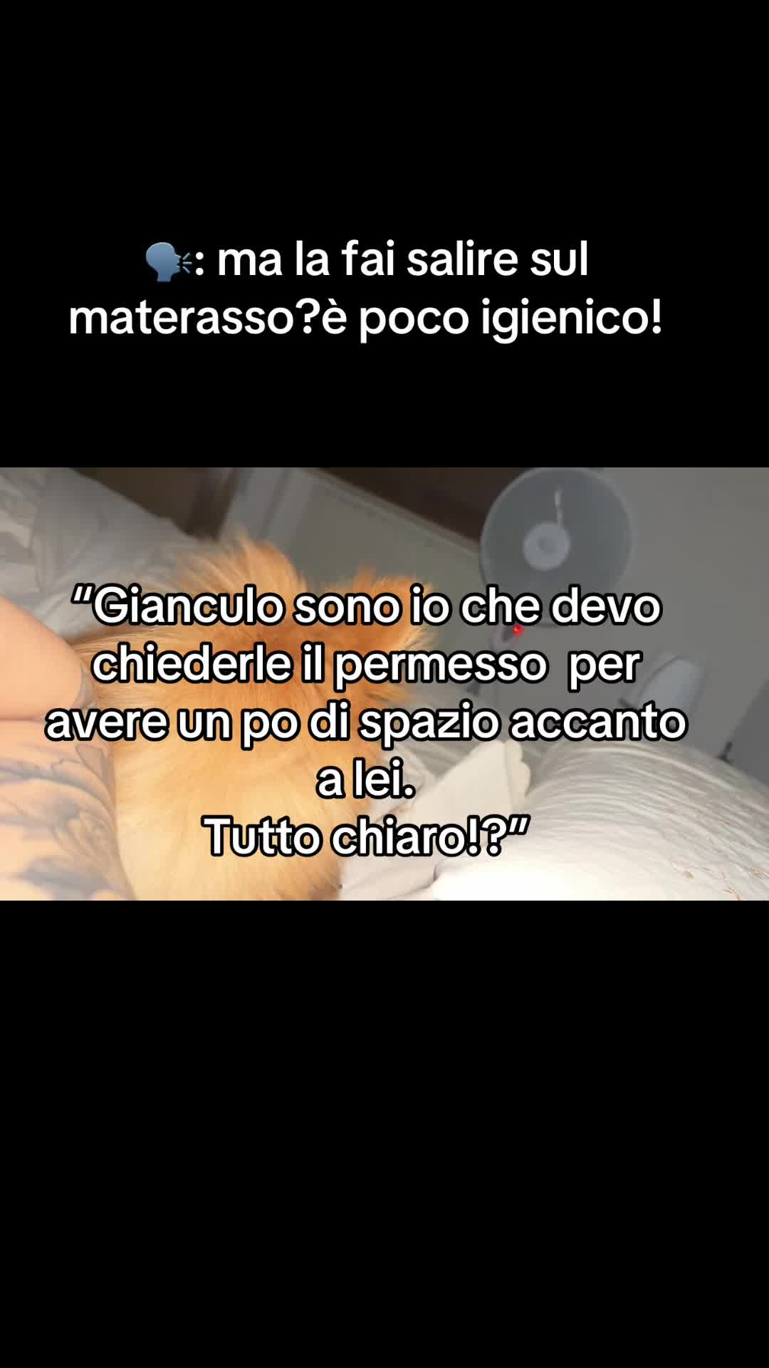 @Francesca Spano