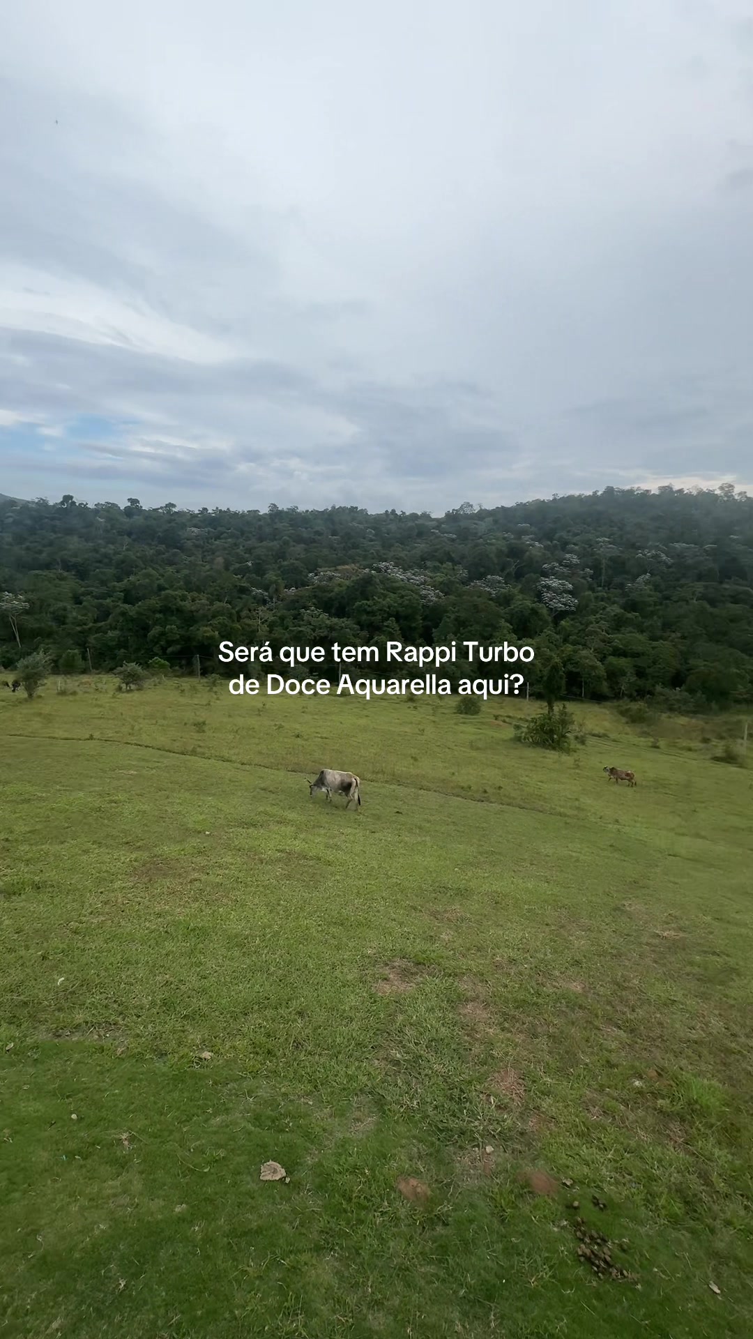 @manuribenboim