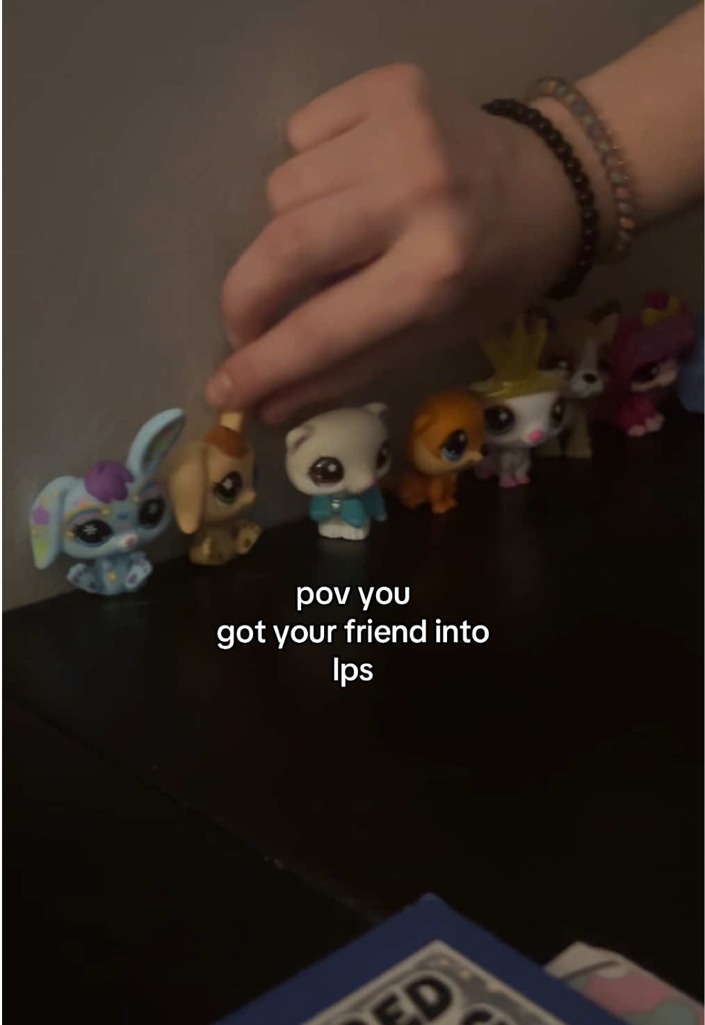 @lpslydsss