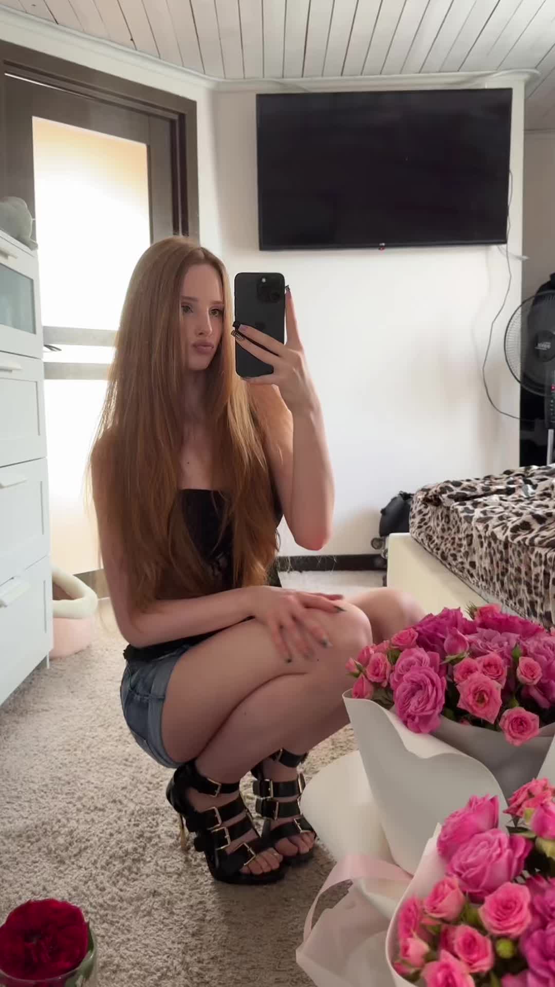 @dominiksss