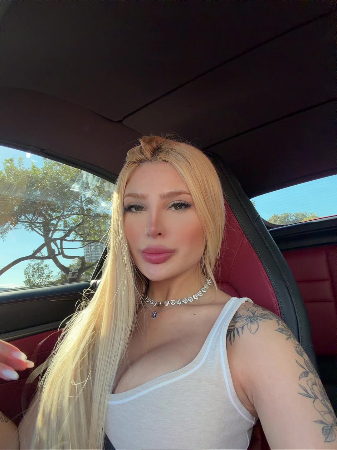 @Bolzani