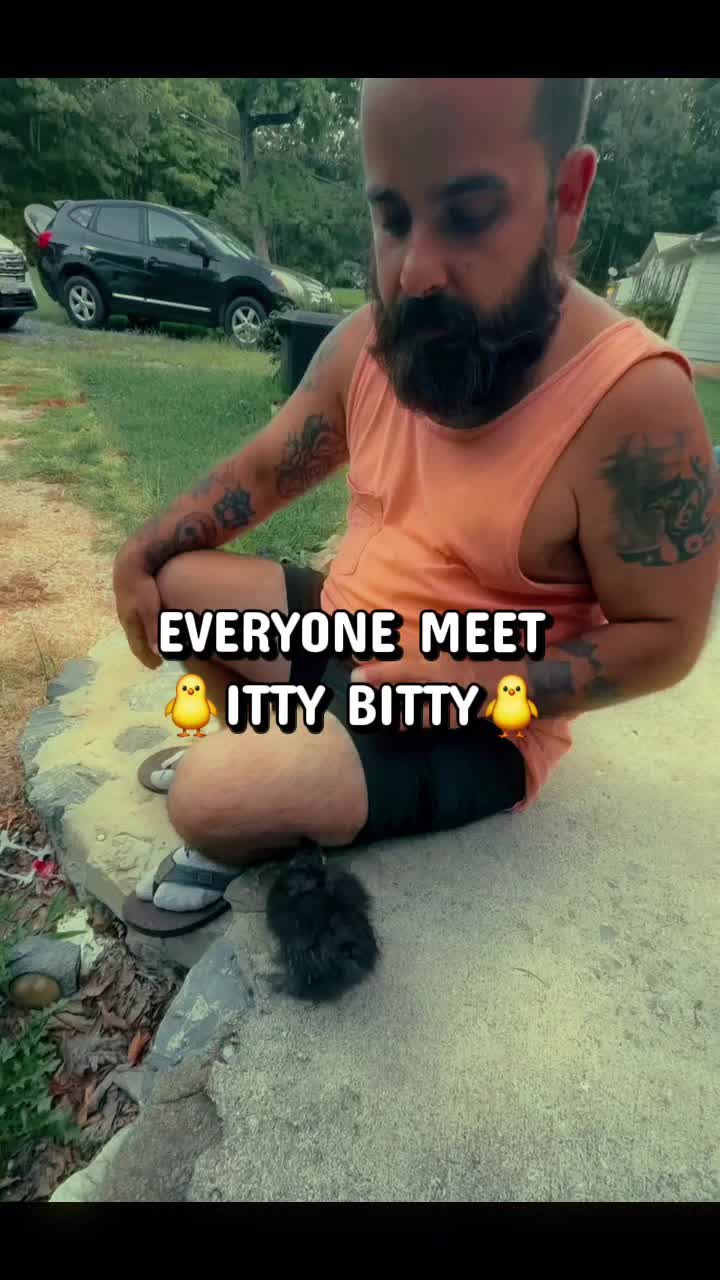 @Mr.vic007ai