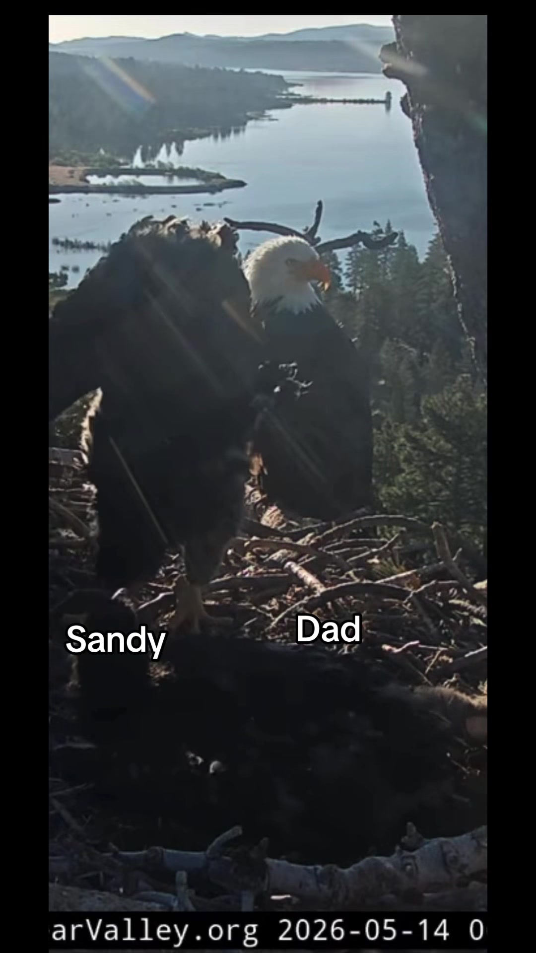 @Holly&rsquo;s Dad