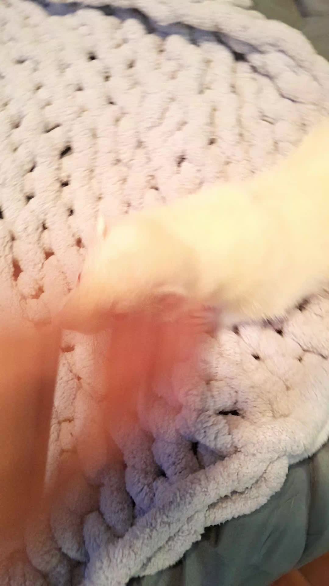 @Ďřɛªđĥɛªđ⁴²⁰