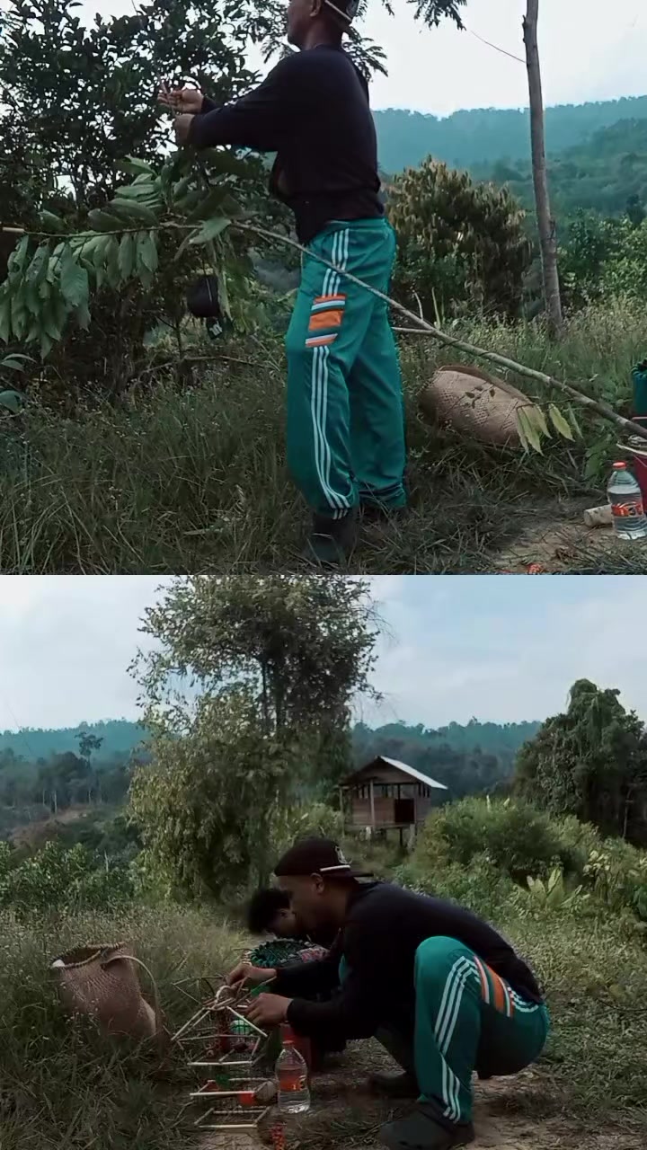 @Srindit kaltara 🦜