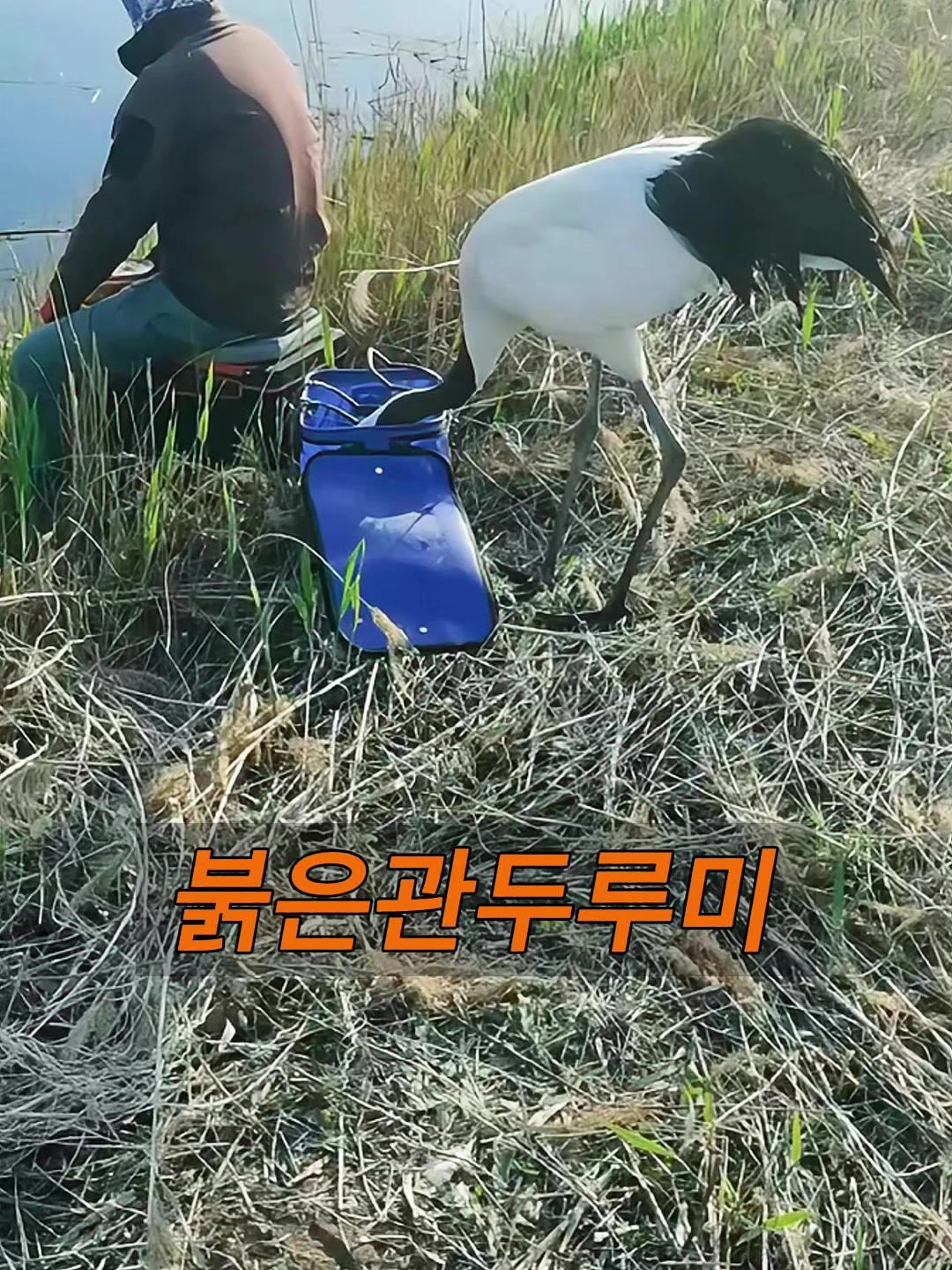 @삼촌Cut2025