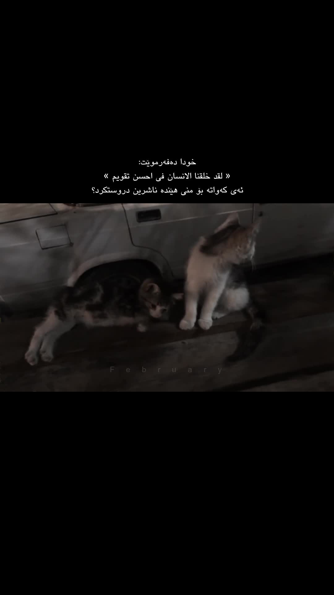 @• مــــــM̲a̲r̲y̲ـــــاری •