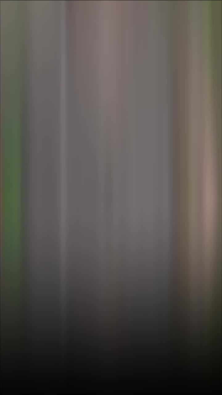 @👑جٹ بادشاہ👑