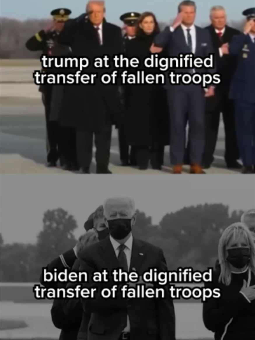 @Daily Wire