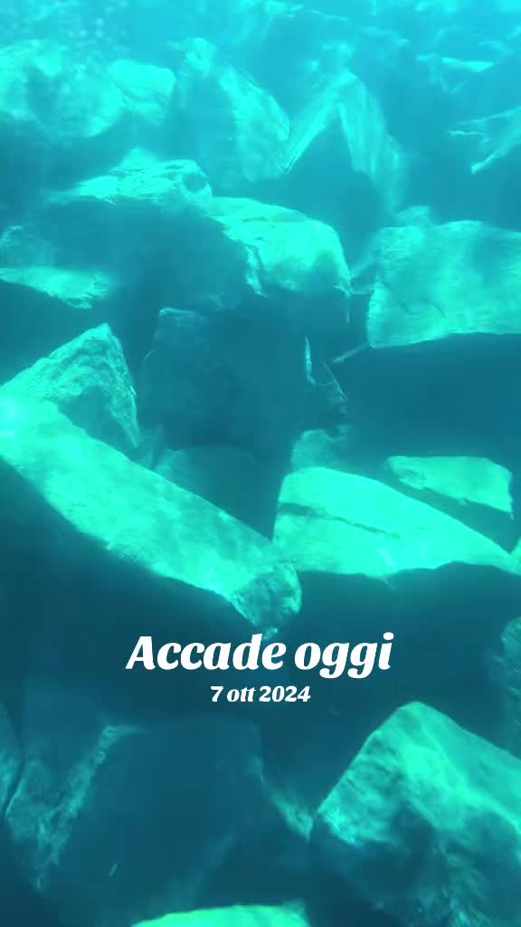 @Valentina Addestrare educando