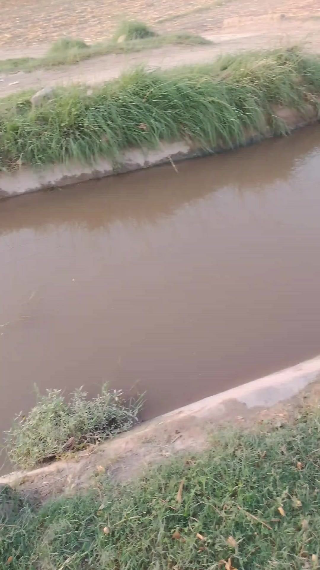 @حسنی
