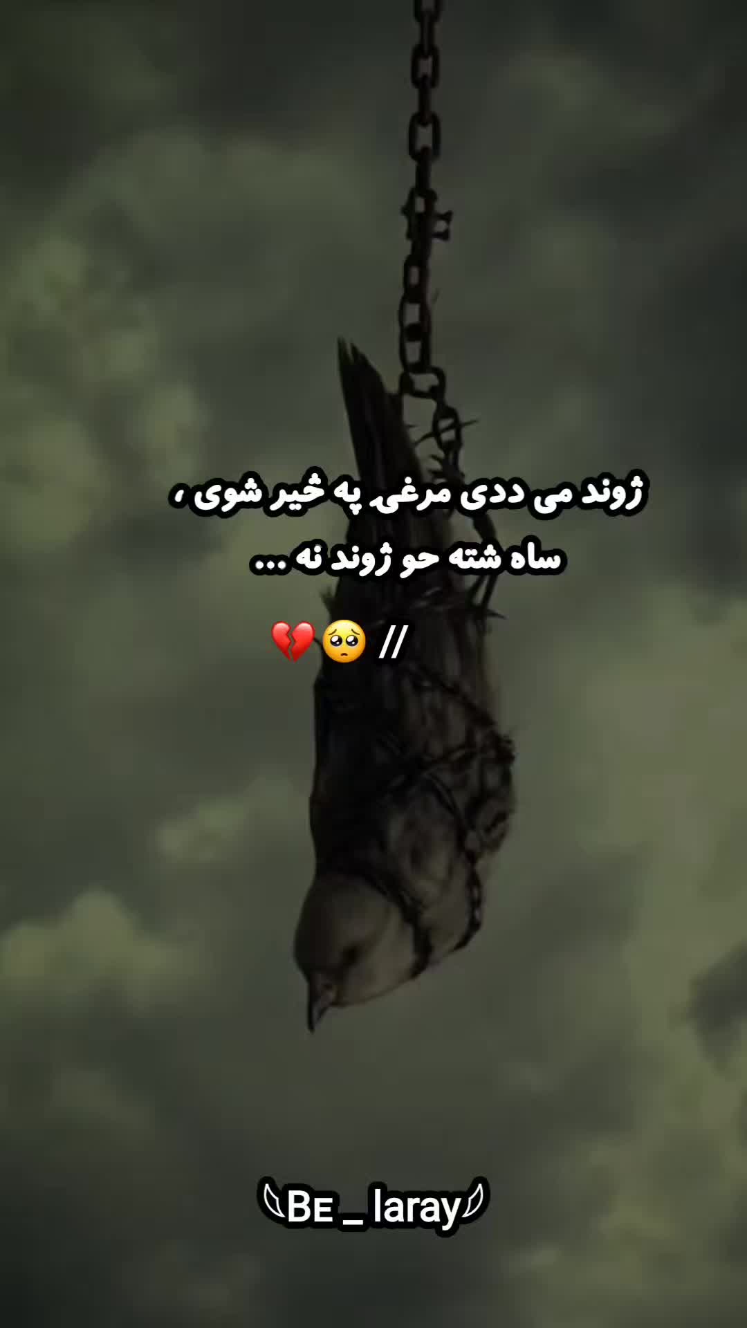 @𓆩 بَې لارې پِیغله 𓆪