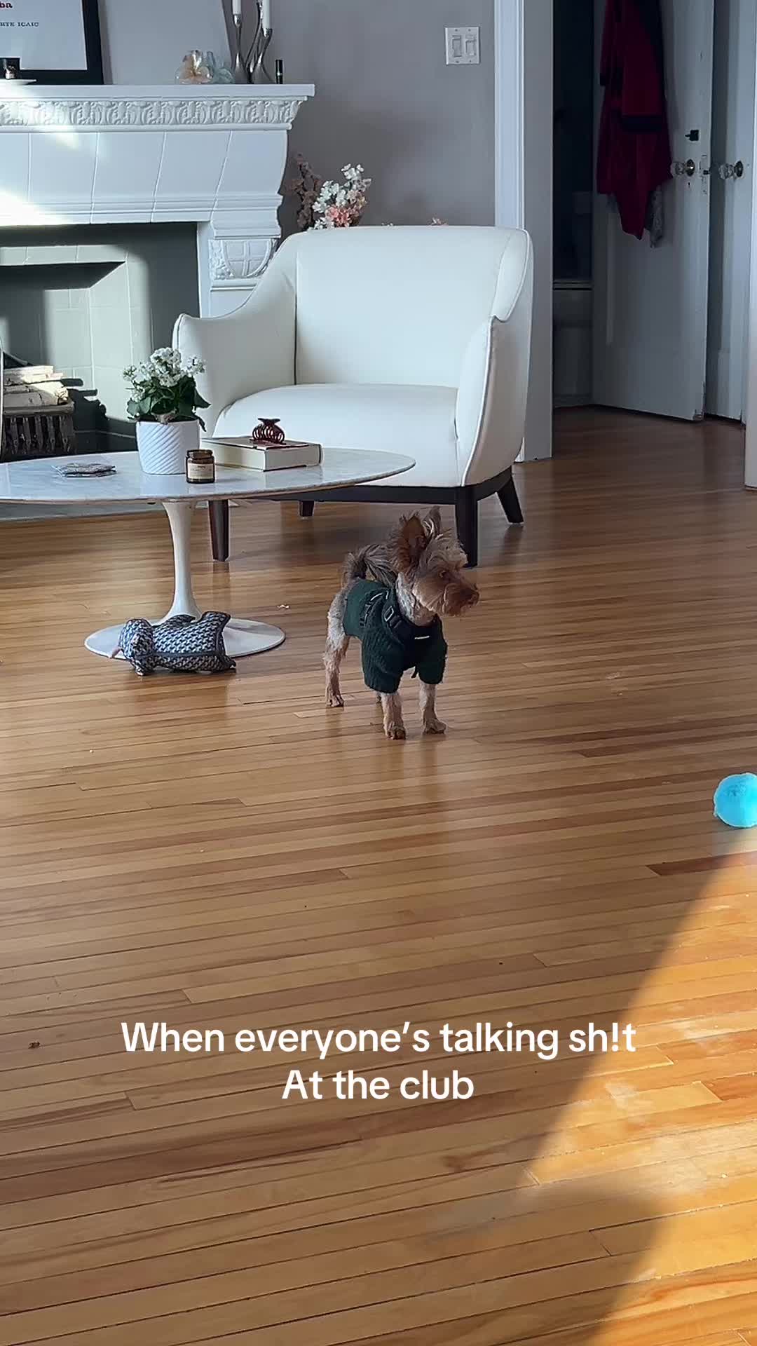 @MoJo