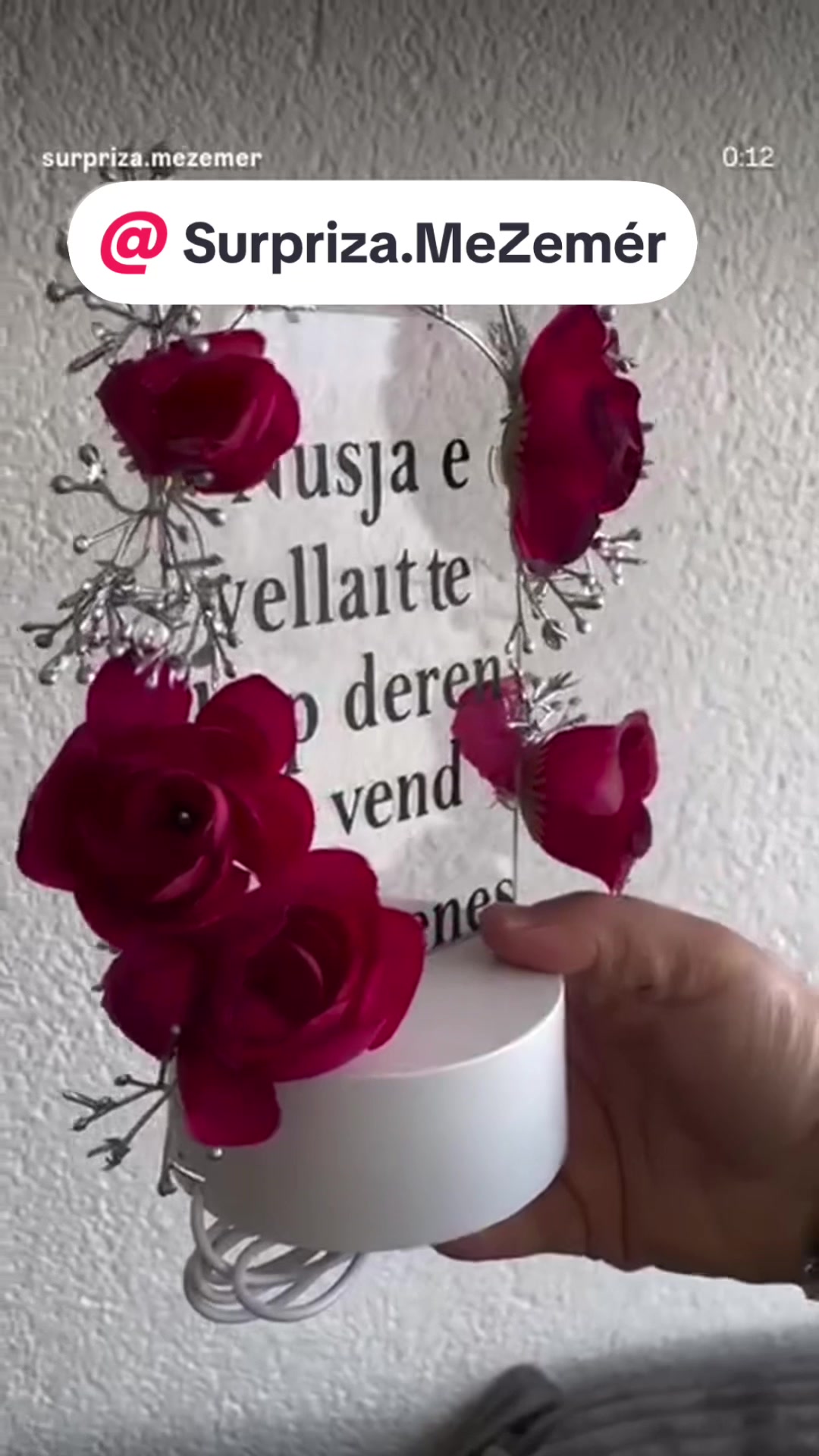@Surpriza.MeZemer