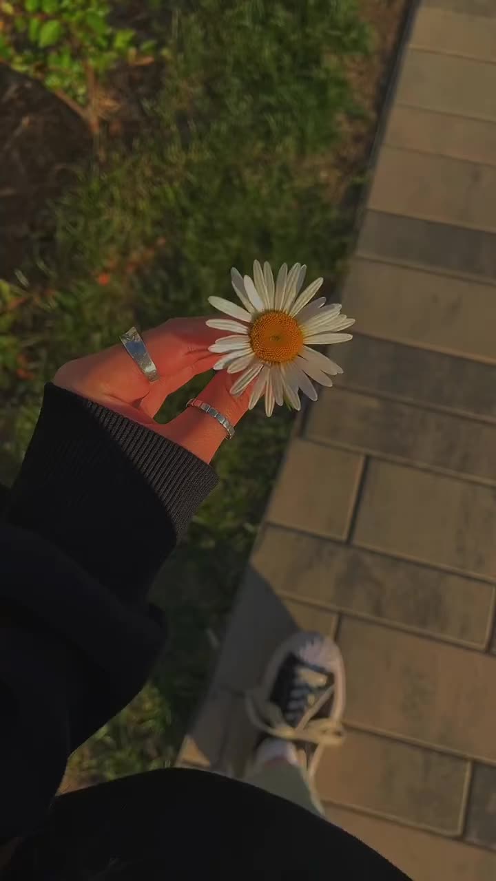 @★彡[ᴠɪʙɪɴɢᴡɪᴛʜ_ᴡᴀꜱɪꜰꜱʜᴀʜᴢᴀᴅ]彡★