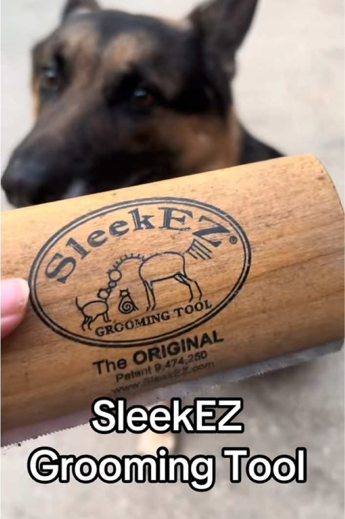 @Walter The German Shepherd