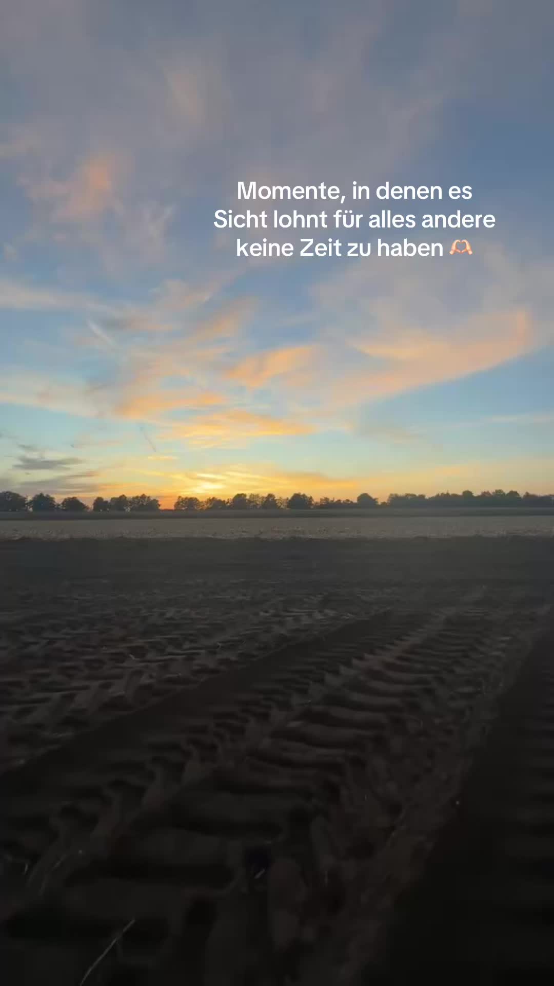 @Jordi🦅