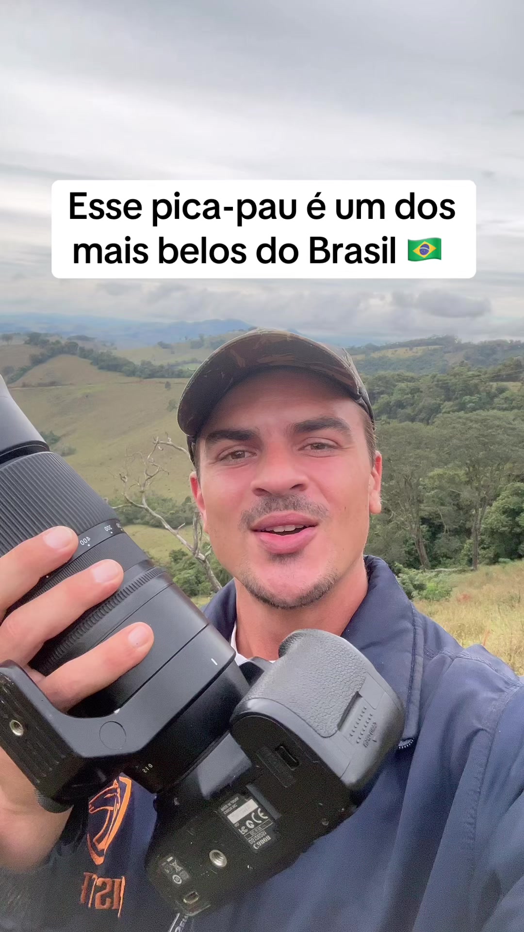 @Vinícius Köhn Pássaros