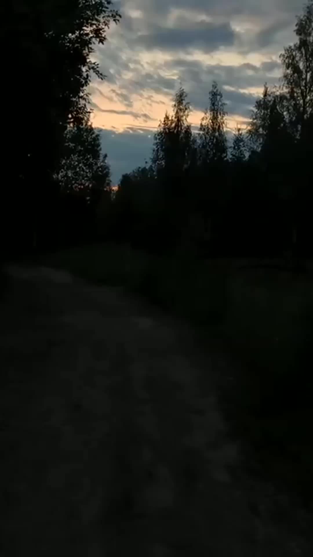 @saiiyansamlive11282040