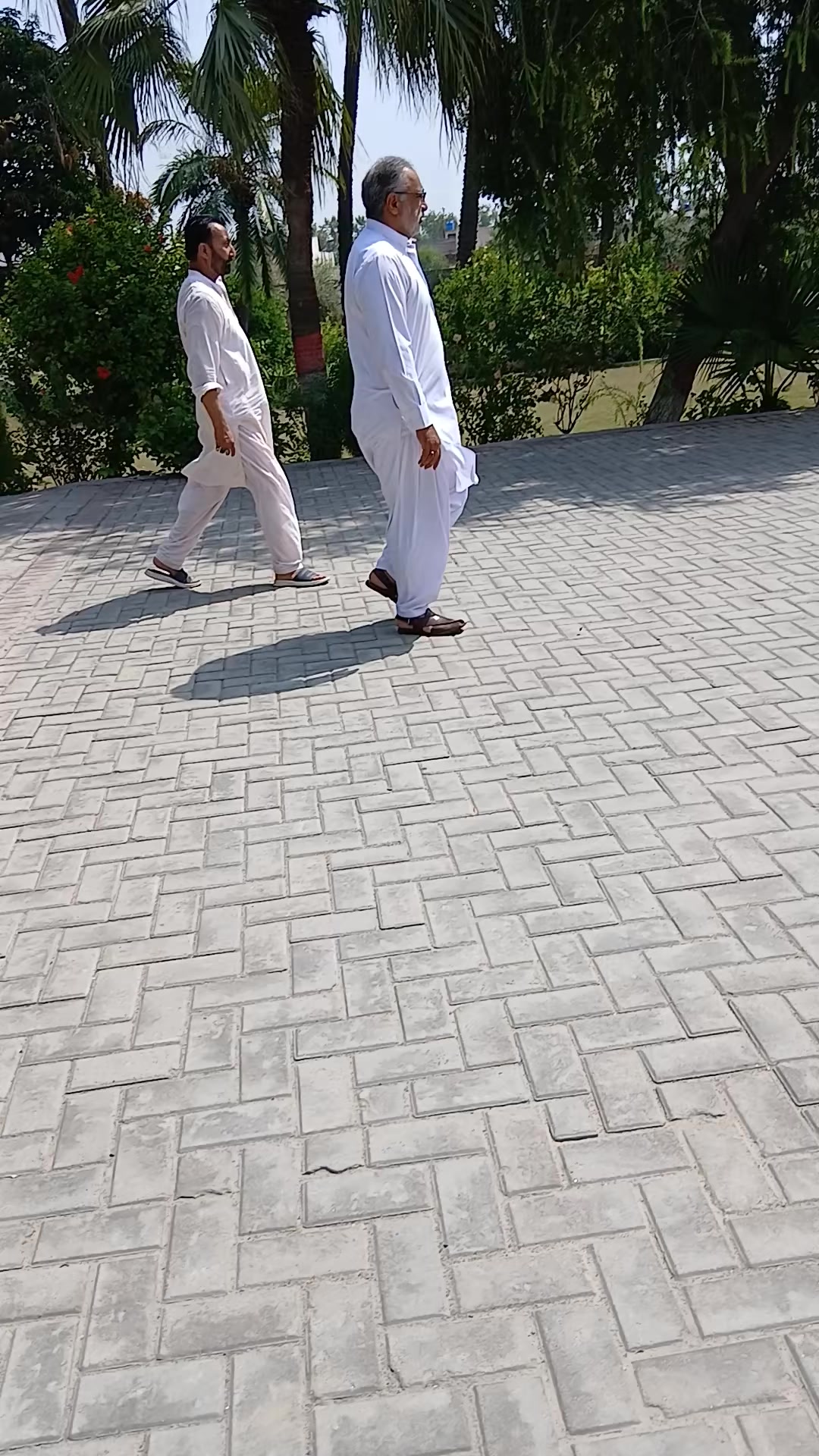 @Syed Zulfiqar Ali Shah