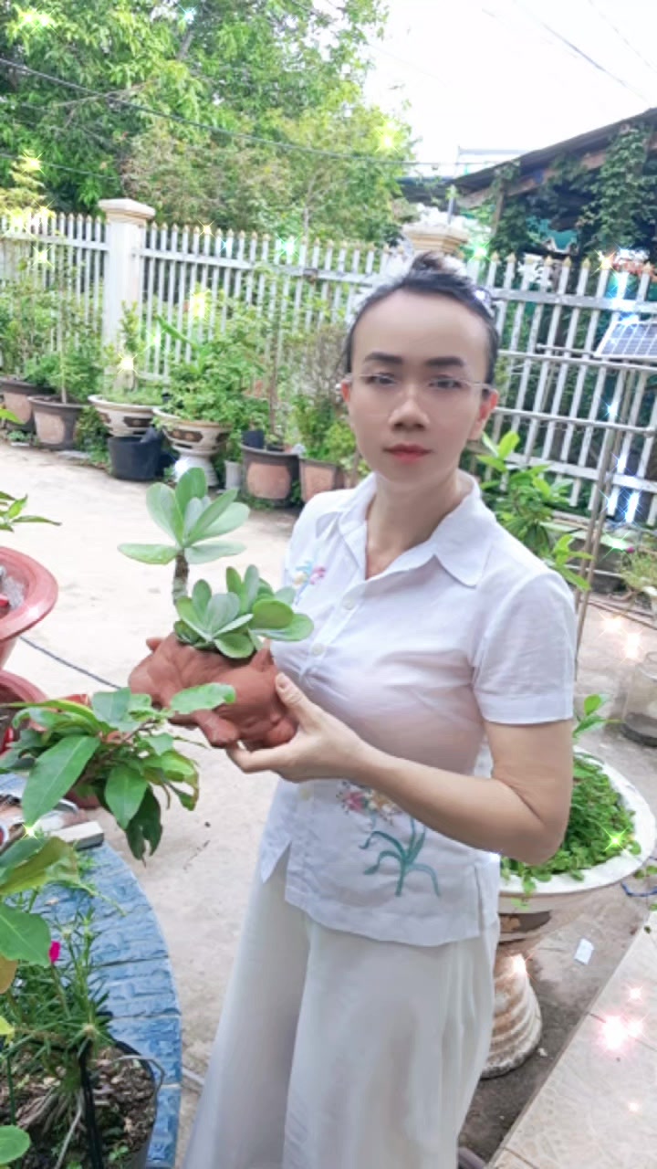 @📣C&ocirc; Phụng đ&acirc;y n&egrave;😆