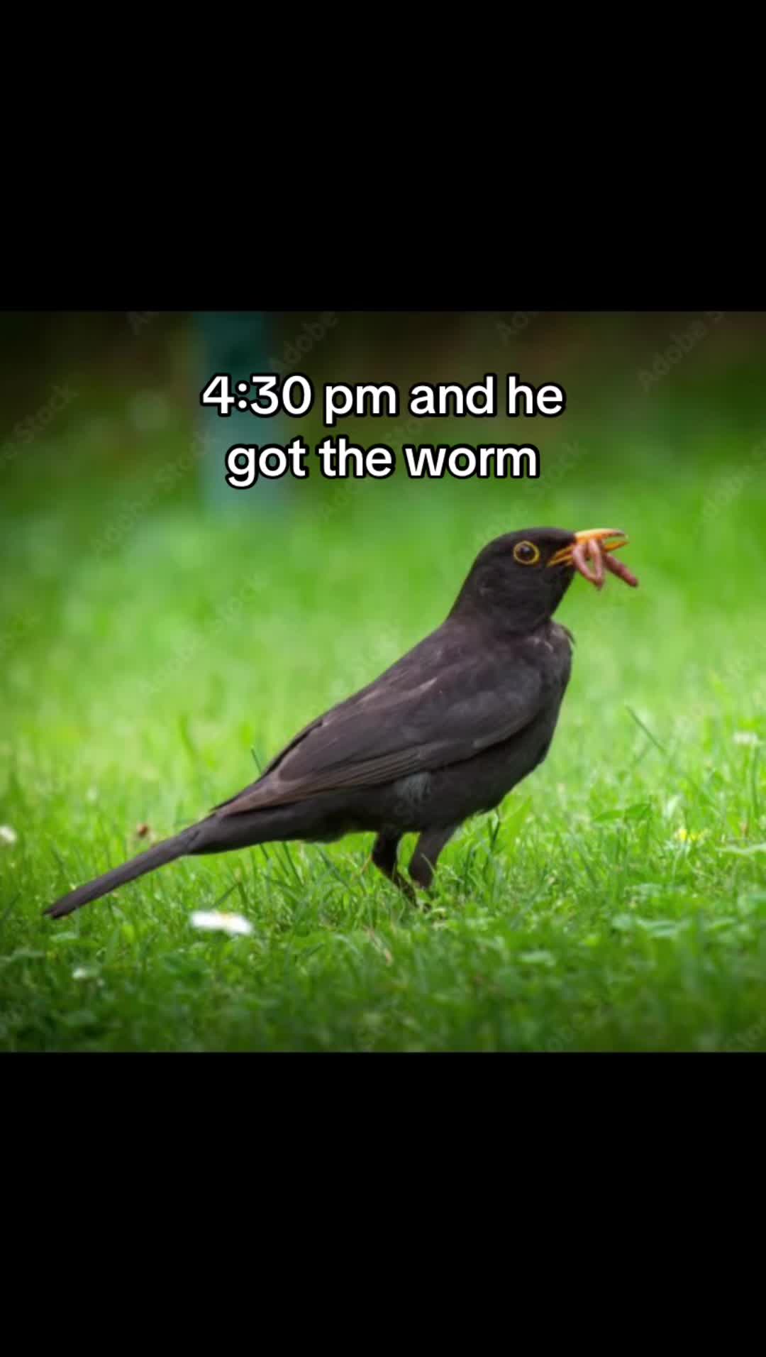 @Kim