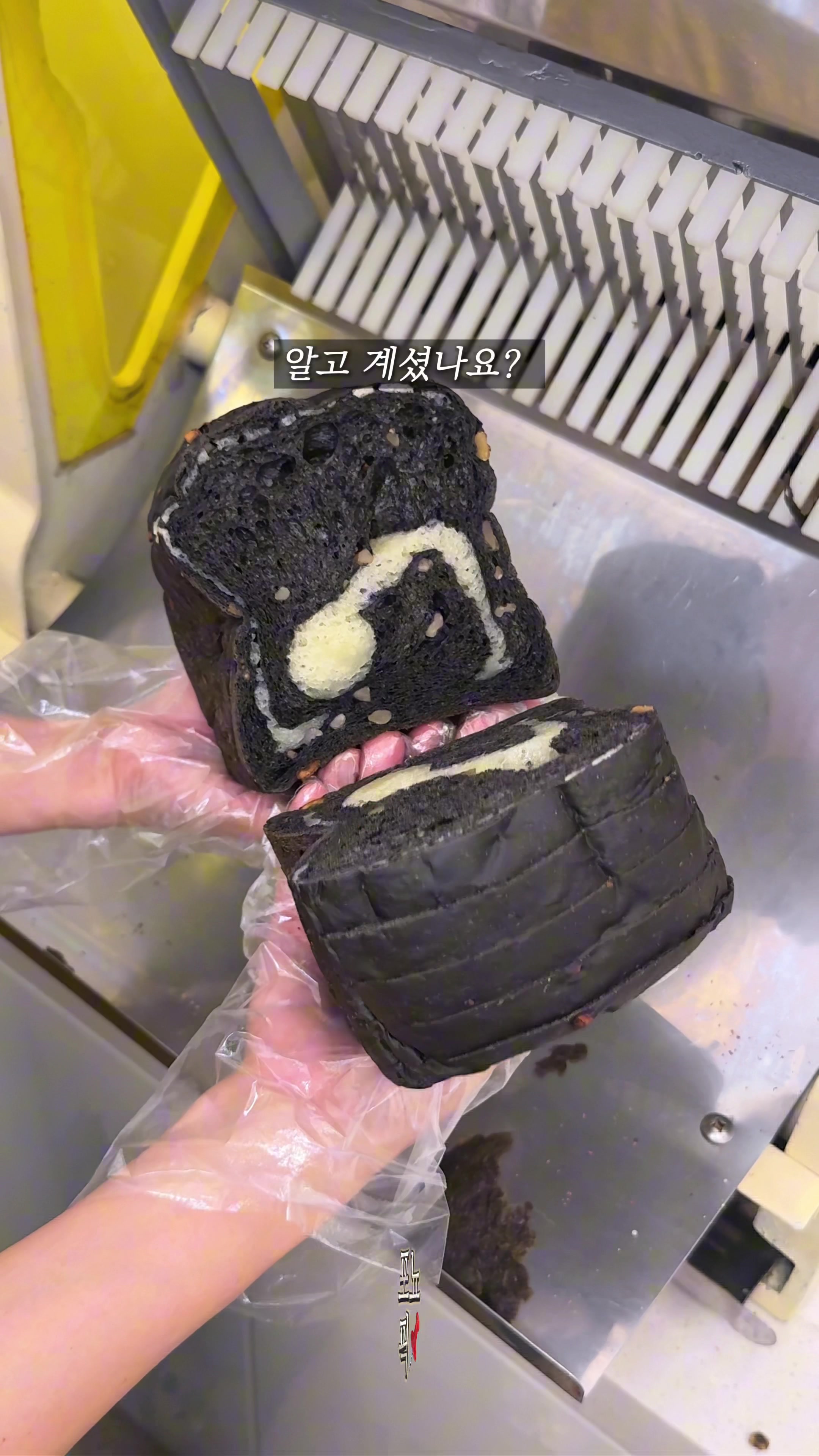 @포뇨픽ㅣ청주맛집•대전맛집•세종맛집