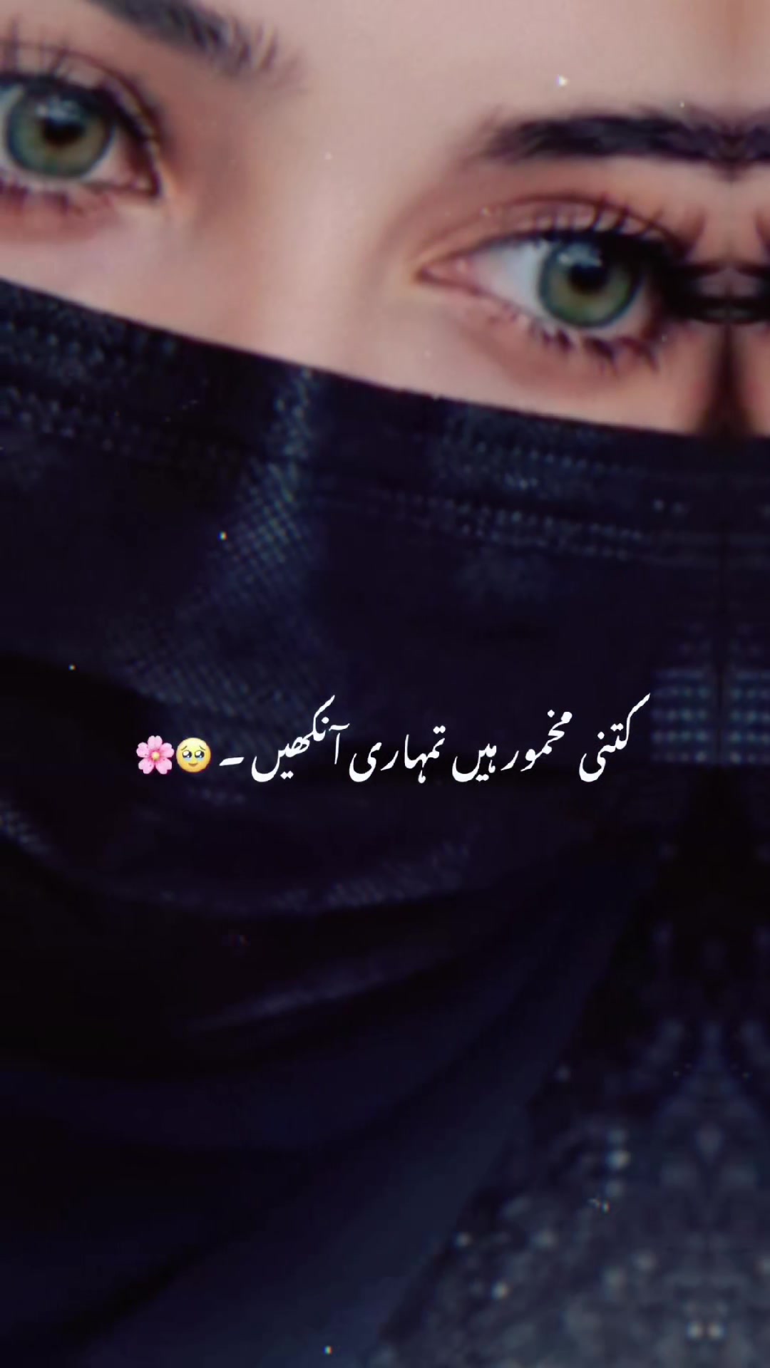 @Arfa waaqas