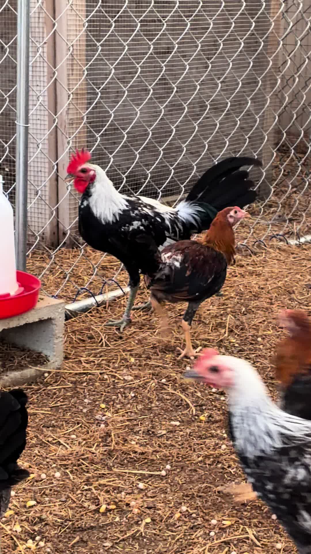 @A.MENDOZA.FARM.USA 74HWY