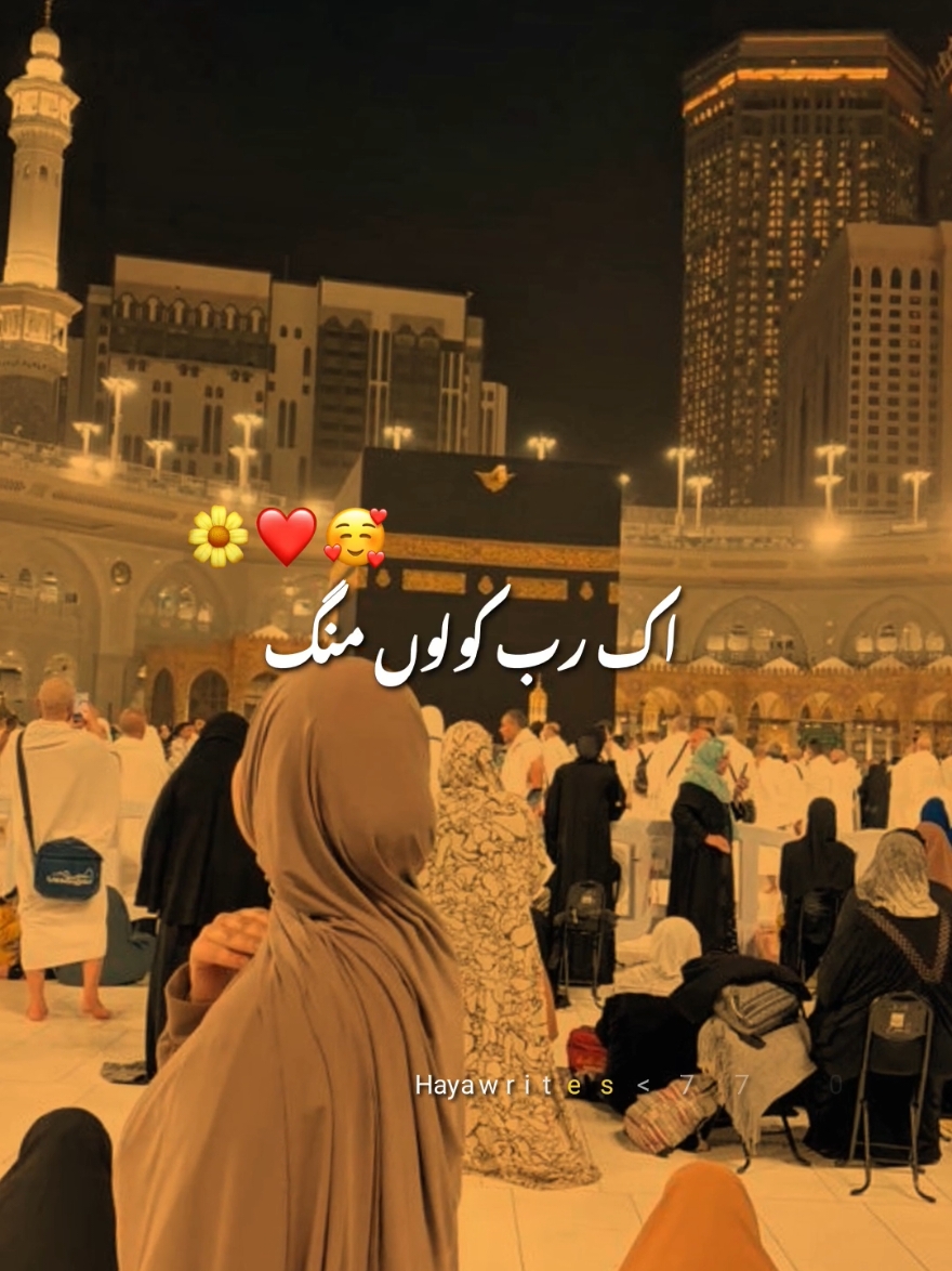 @Haya