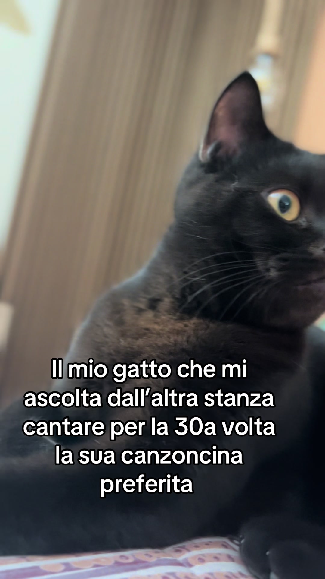 @Simona81🦋