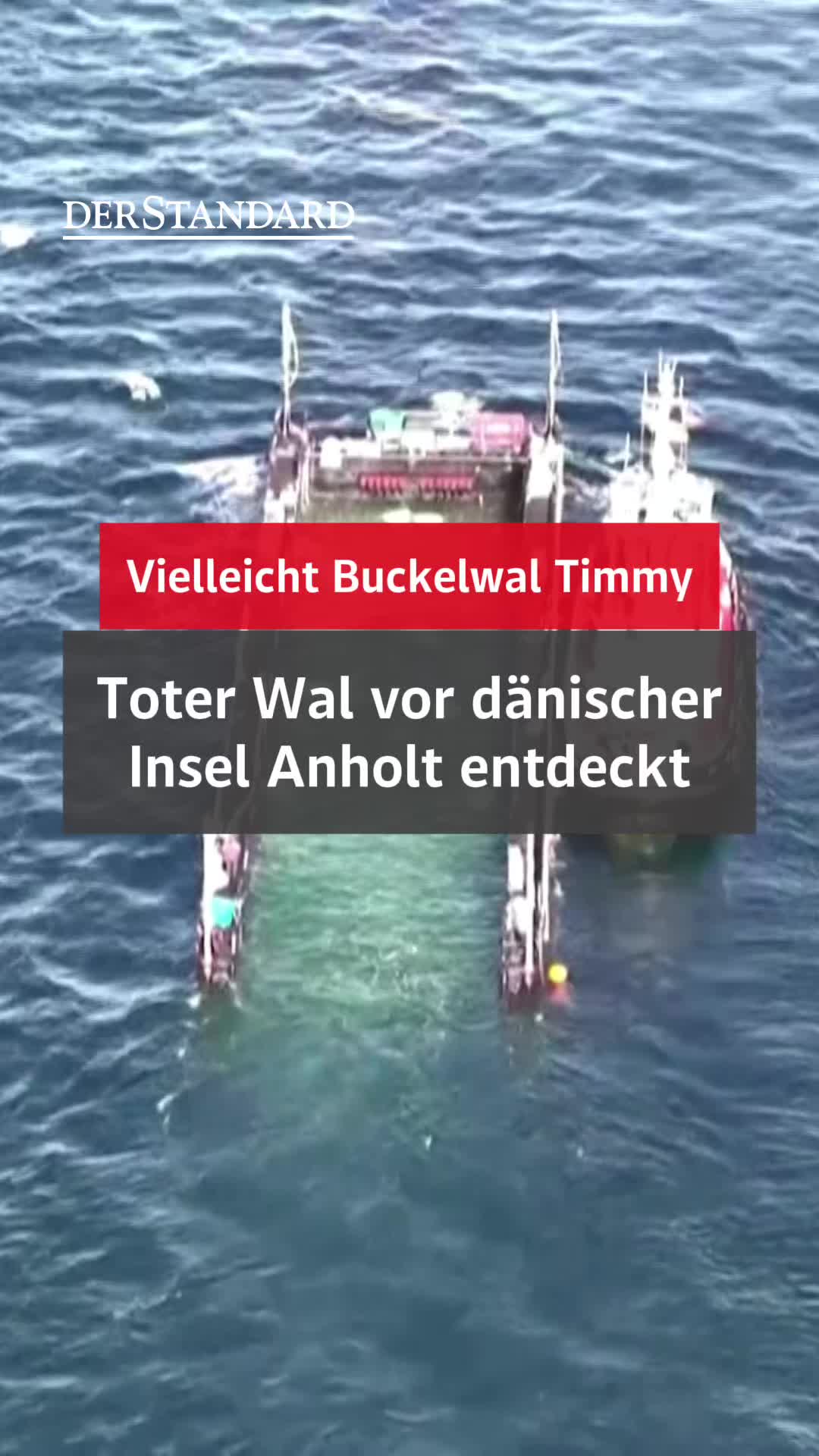 @DER STANDARD News