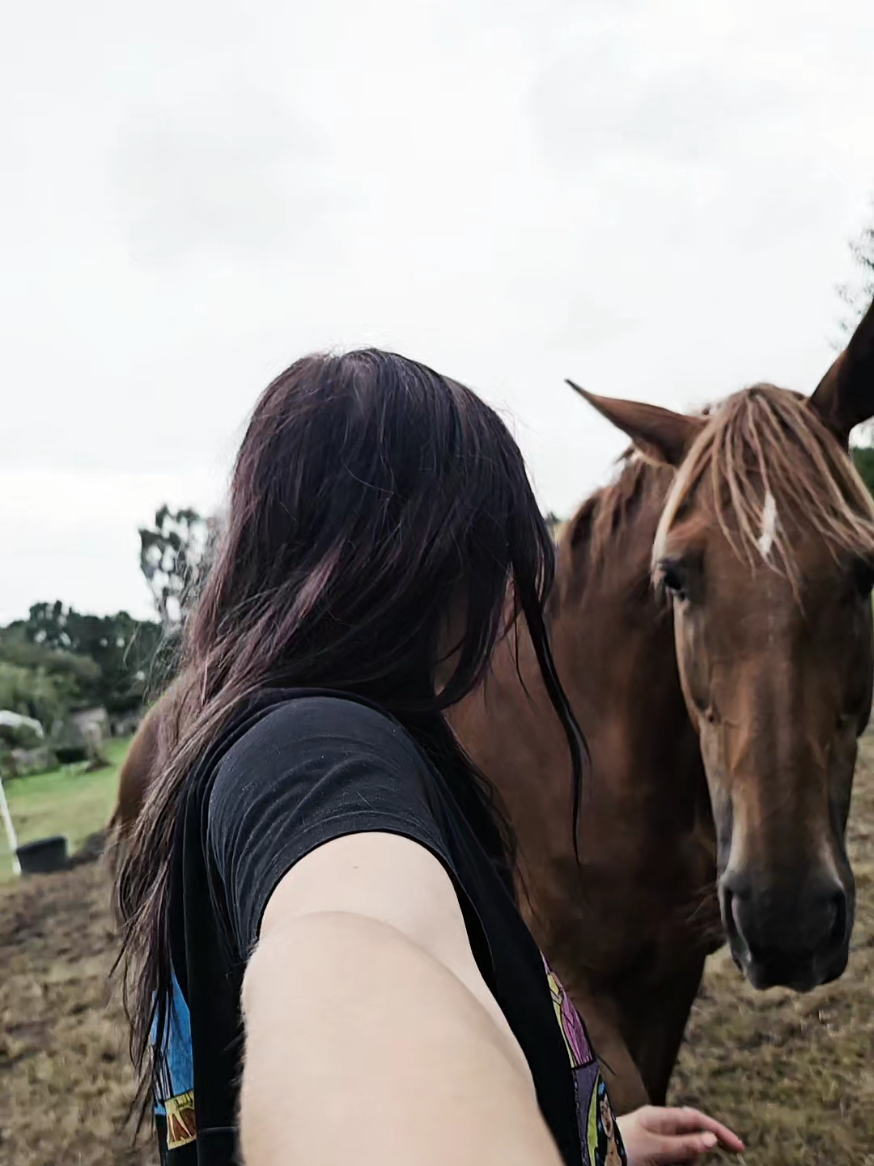 @Dino and horses