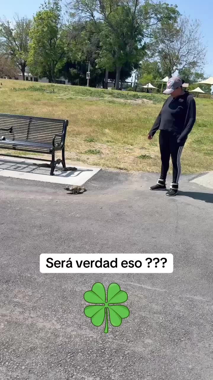 @EDMUNDO RAMÍREZ