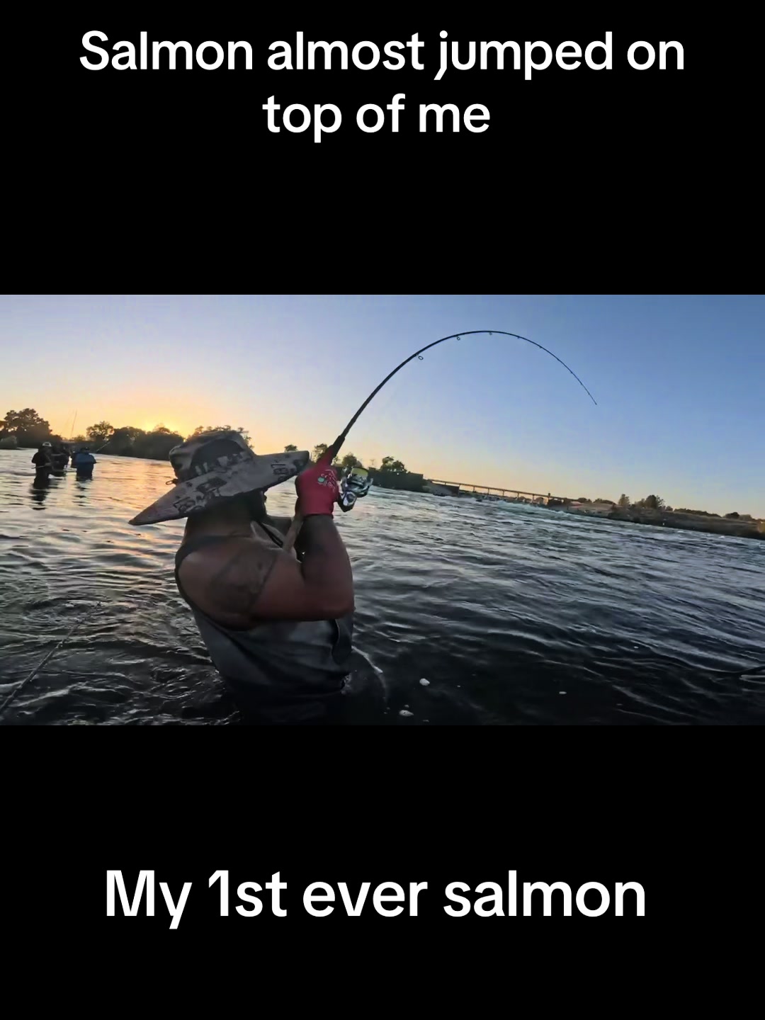 @Justfishnn510
