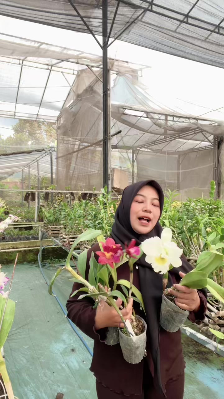 @Griya sekarindo utama