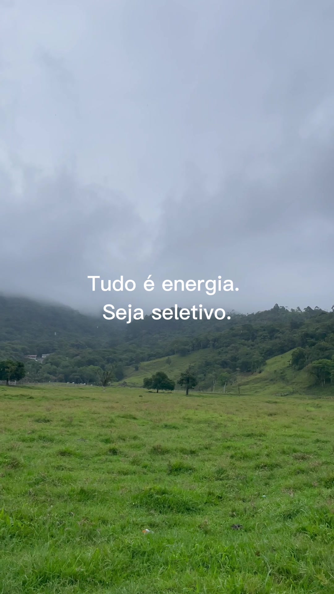 @Aline Ribeiro