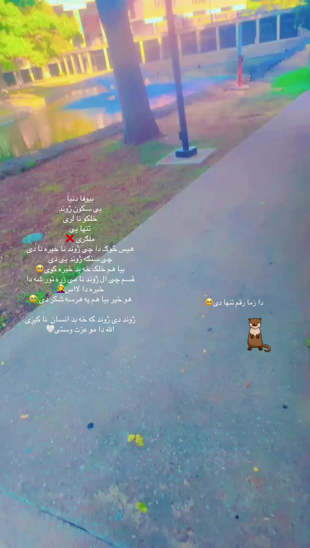 @𝓟𝓪𝓴𝓽𝓲𝓪𝔀𝓪𝓵🥀𝓰𝓪𝓷𝓲