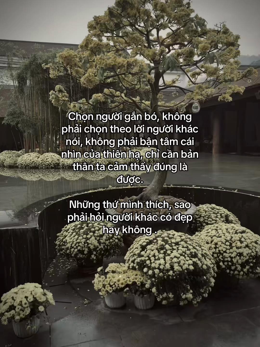 @Anh Tiền Hải Quan