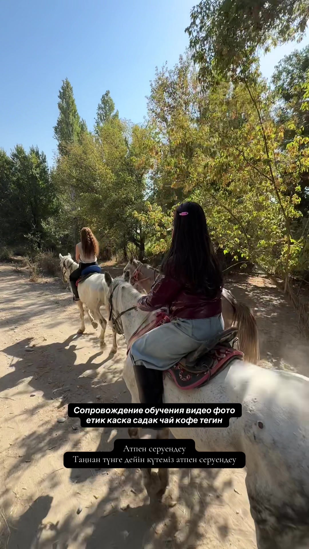 @Konnaya_progulka_taraz🐎