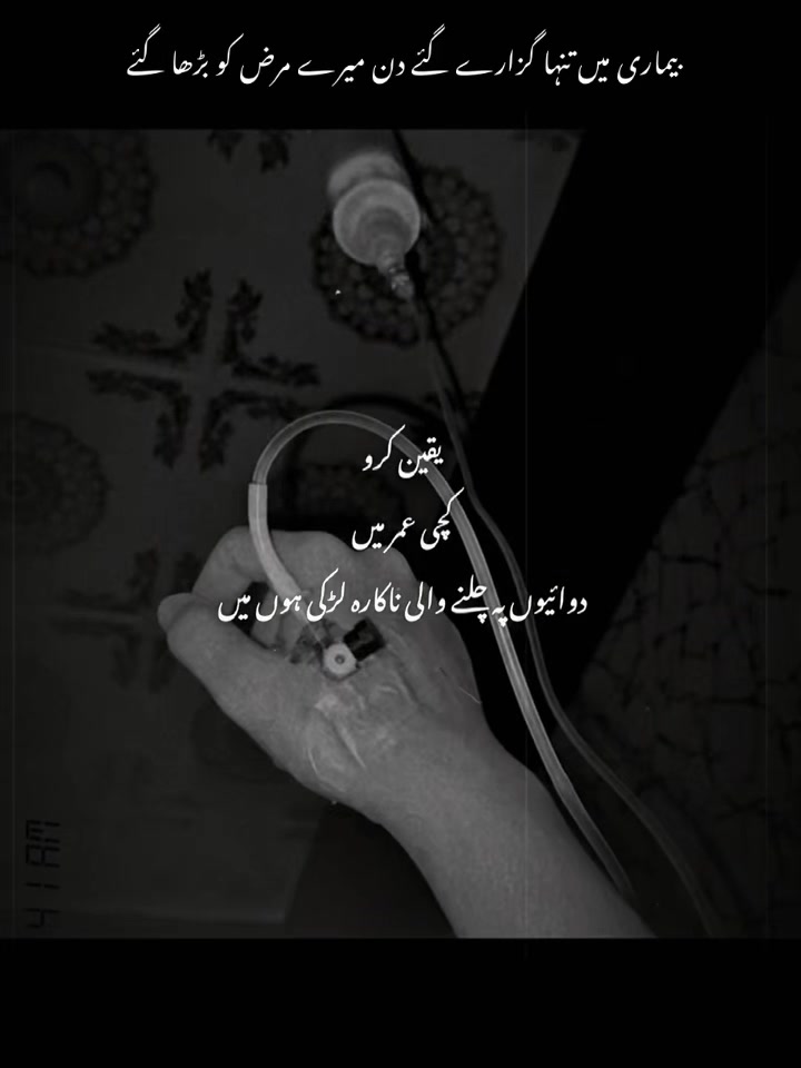 @🕊️♥️🥀