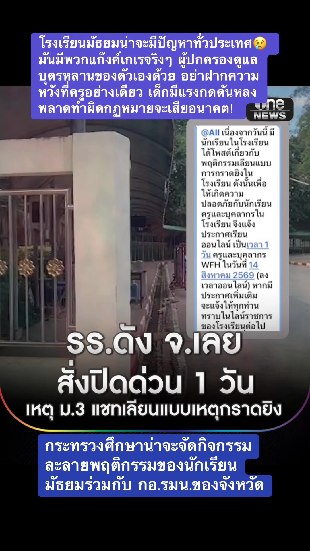 @ทาสแมว_News