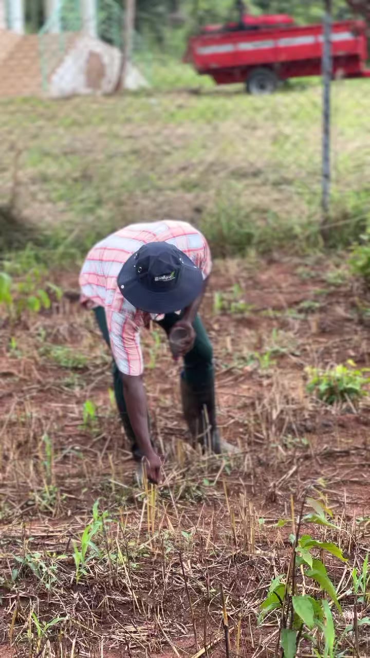 @Farm with Samuel